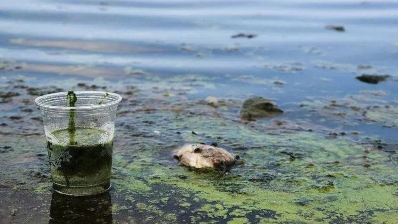 廢水中污染物種類處理方法