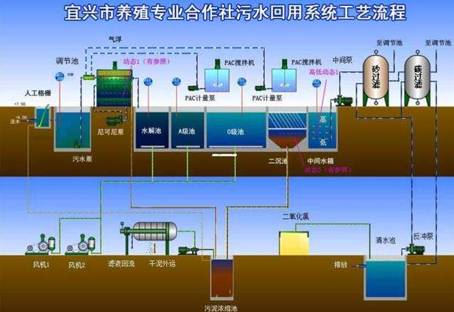 養殖污水怎么處理-樂中環保