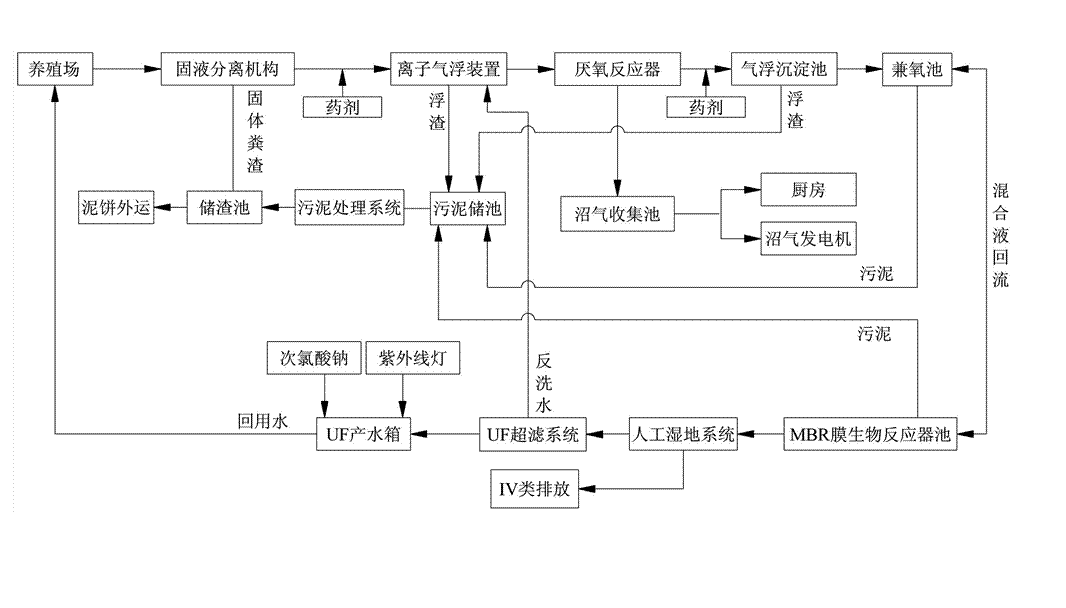 農村養殖戶如何低成本有效處理污水，這兩種做法你應該知道!02